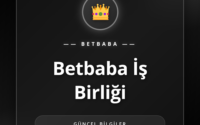 Betbaba iş birliği programı paneli ve ortaklık detayları